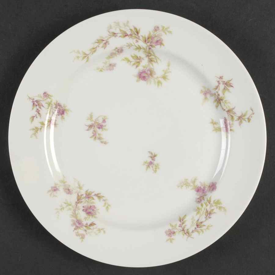 Schleiger 1132 Salad Plate by Haviland-1