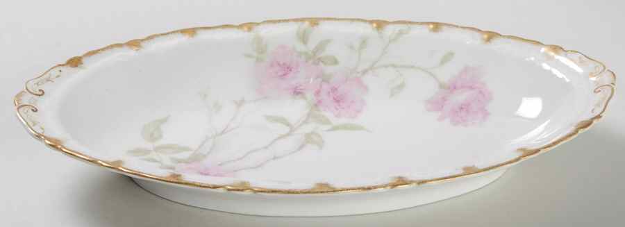 Schleiger 1151 Relish by Haviland-1