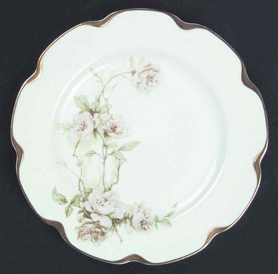 Schleiger 1151y Dinner Plate by Haviland-1