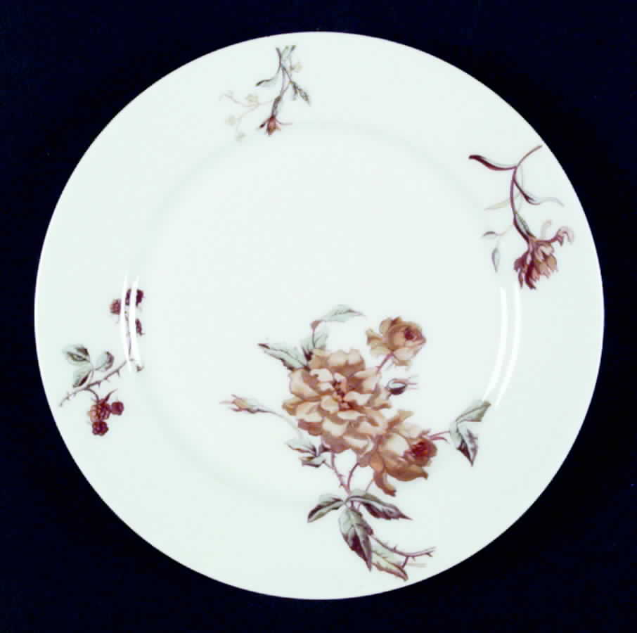 Schleiger 1154A Salad Plate by Haviland-1