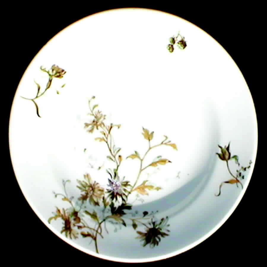 Schleiger 1154A Rim Soup Bowl by Haviland-1