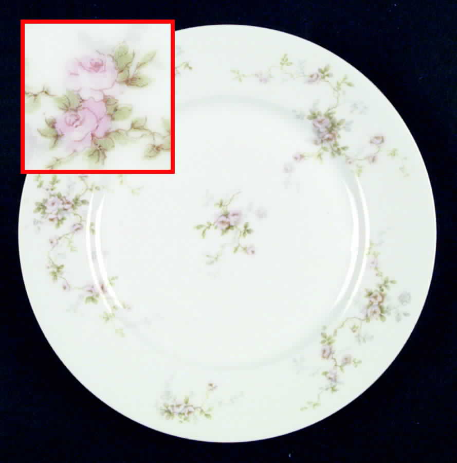 Schleiger 1245 Salad Plate by Haviland-1