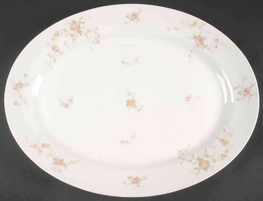 Schleiger 1245 16" Oval Serving Platter by Haviland-1