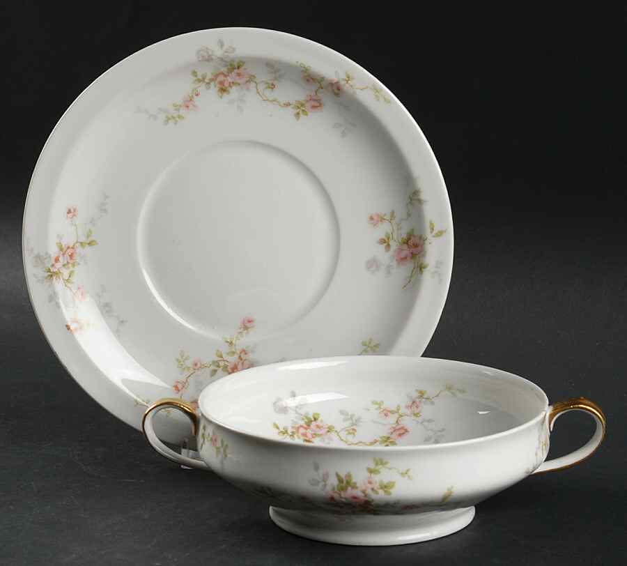 Schleiger 1245 Footed Cream Soup Bowl & Saucer Set by Haviland-1