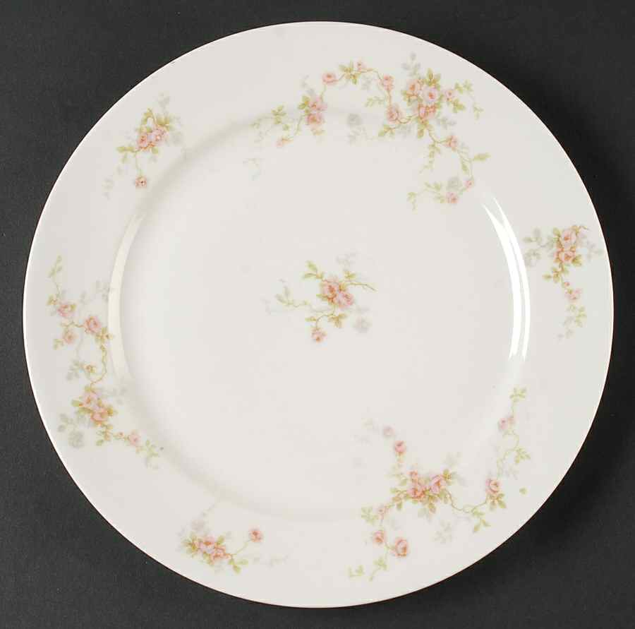 Schleiger 1245 Dinner Plate by Haviland-1