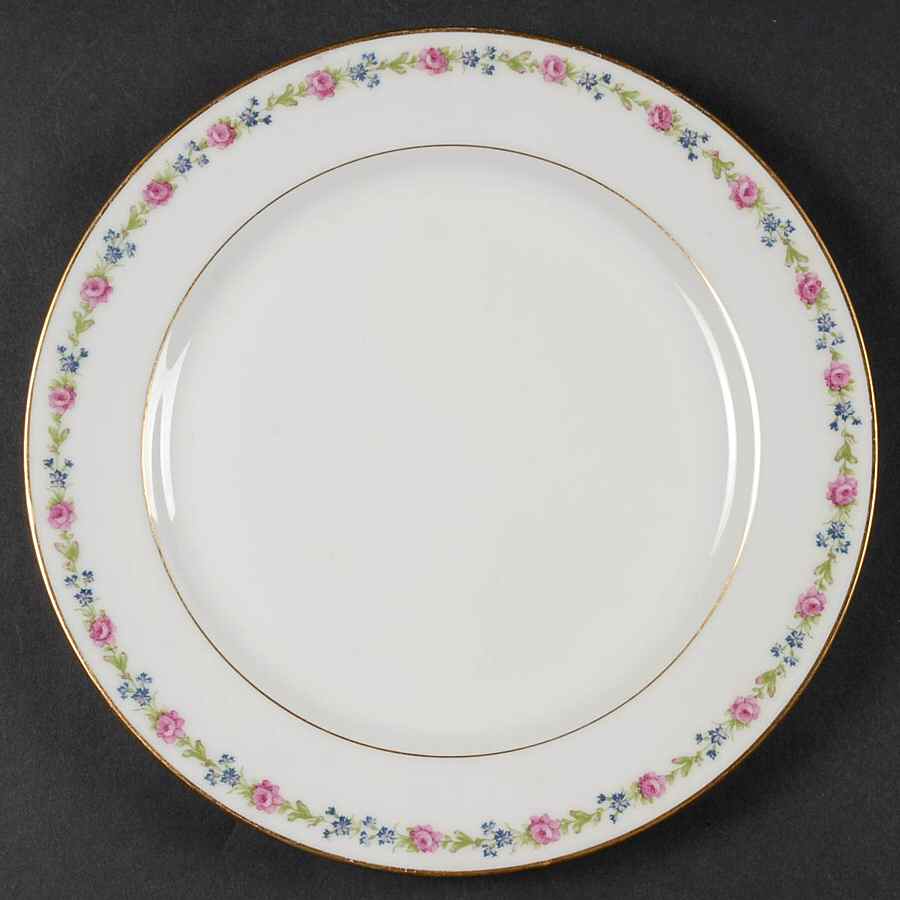 Schleiger 1263 Dinner Plate by Haviland-1