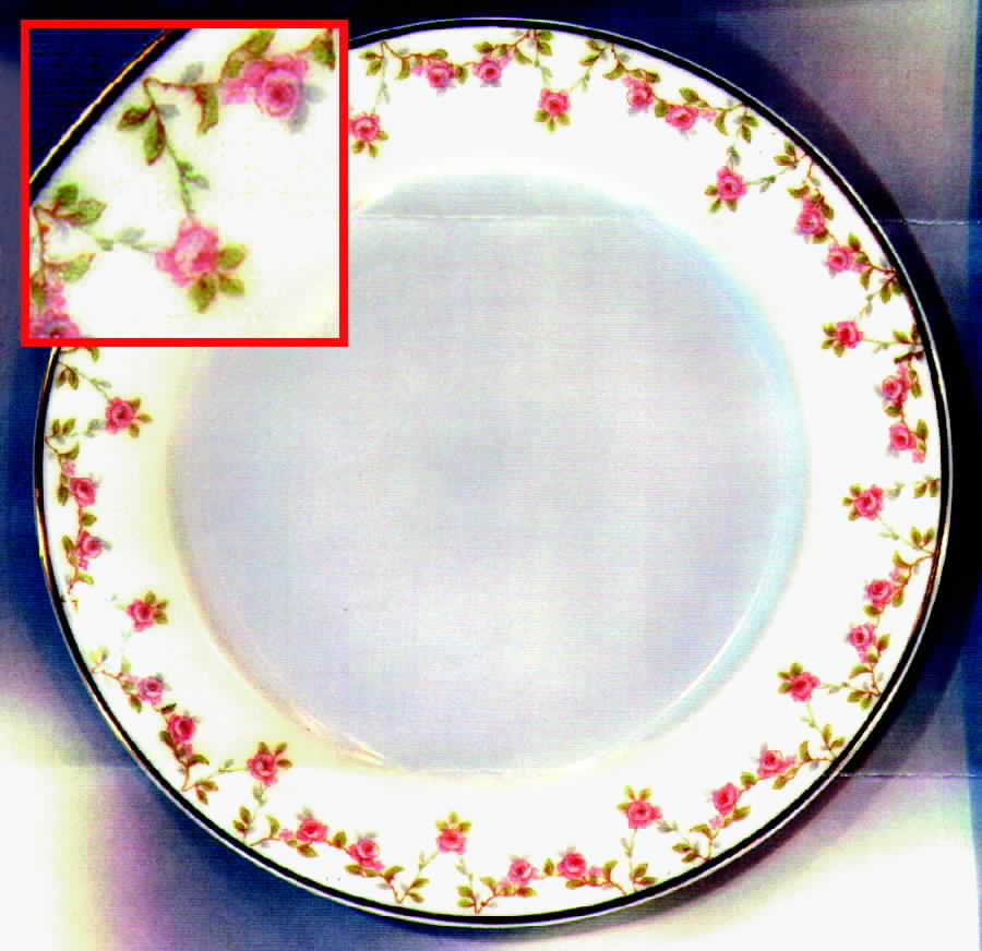 Schleiger 1267 Bread & Butter Plate by Haviland-1