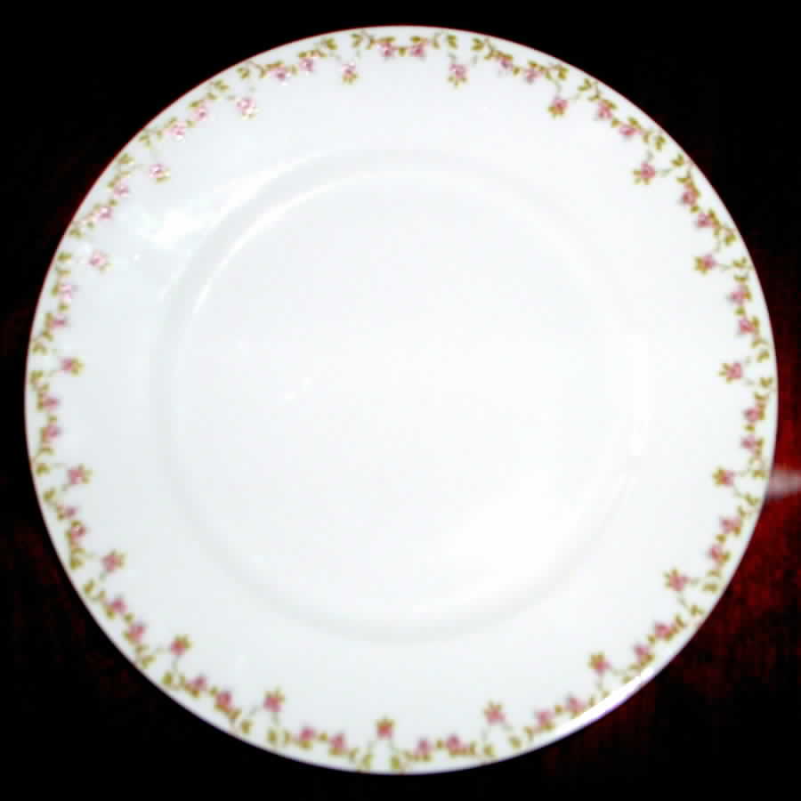 Schleiger 1267 Dinner Plate by Haviland-1