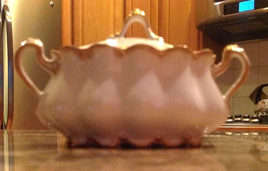 Schleiger 136 Sugar Bowl & Lid by Haviland-1