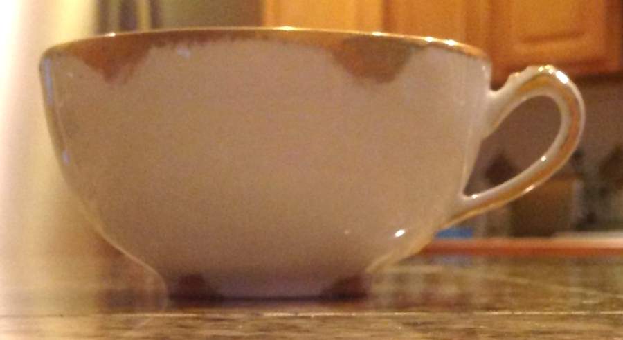 Schleiger 136 Flat Cup by Haviland-1
