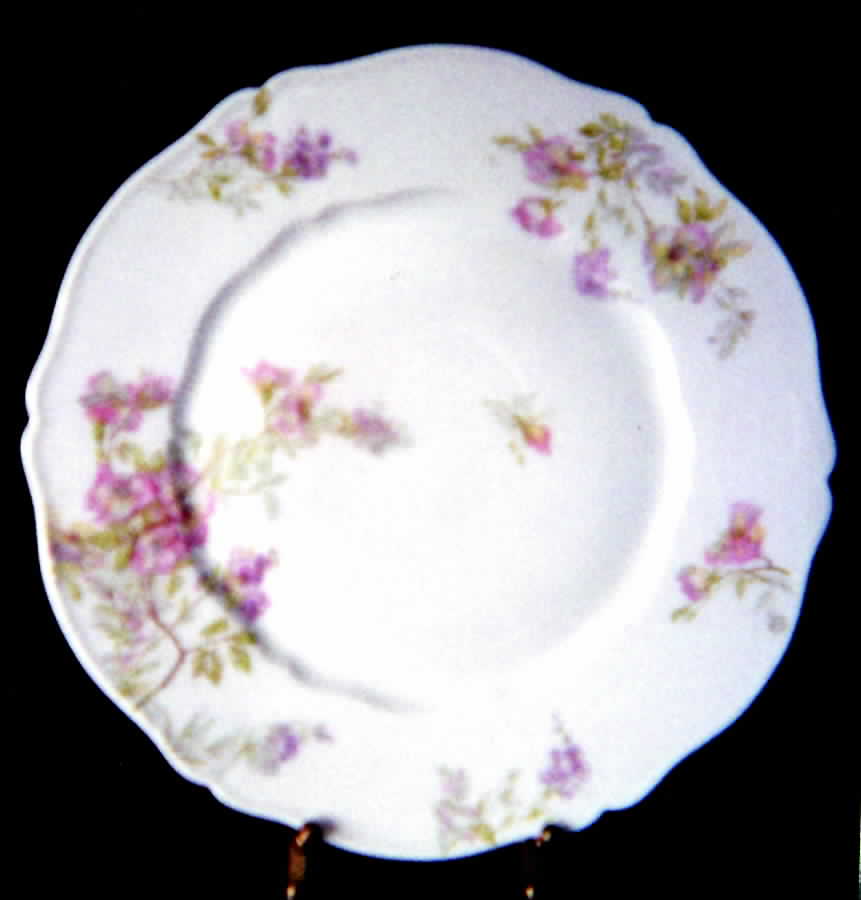Schleiger 139b Dinner Plate by Haviland-1