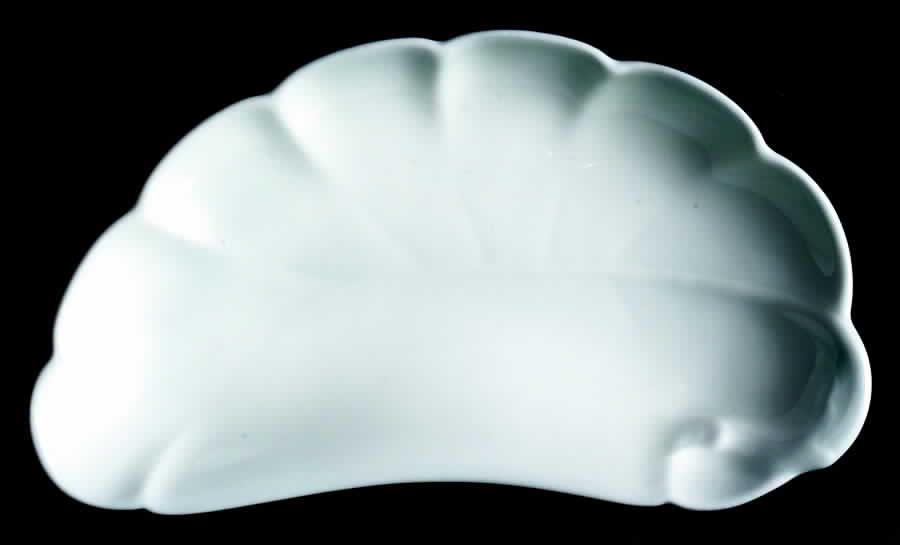 Schleiger 14 Bone Dish by Haviland-1