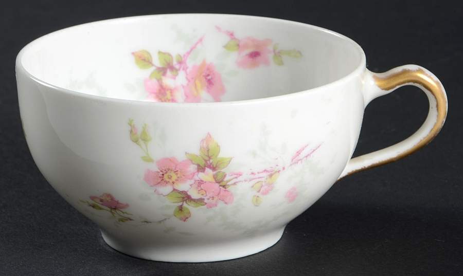 Schleiger 141 Flat Cup by Haviland-1
