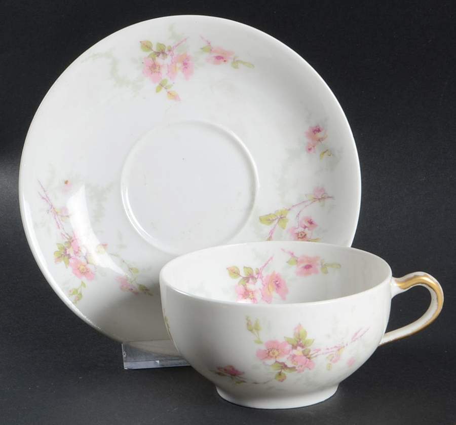 Schleiger 141 Flat Cup & Saucer Set by Haviland-1