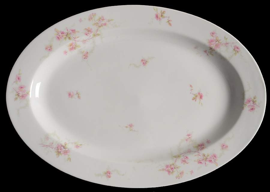 Schleiger 141 16" Oval Serving Platter by Haviland-1