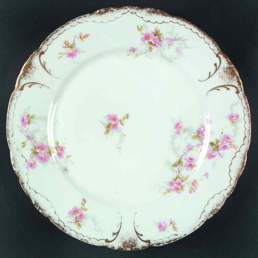 Schleiger 141D Dinner Plate by Haviland-1