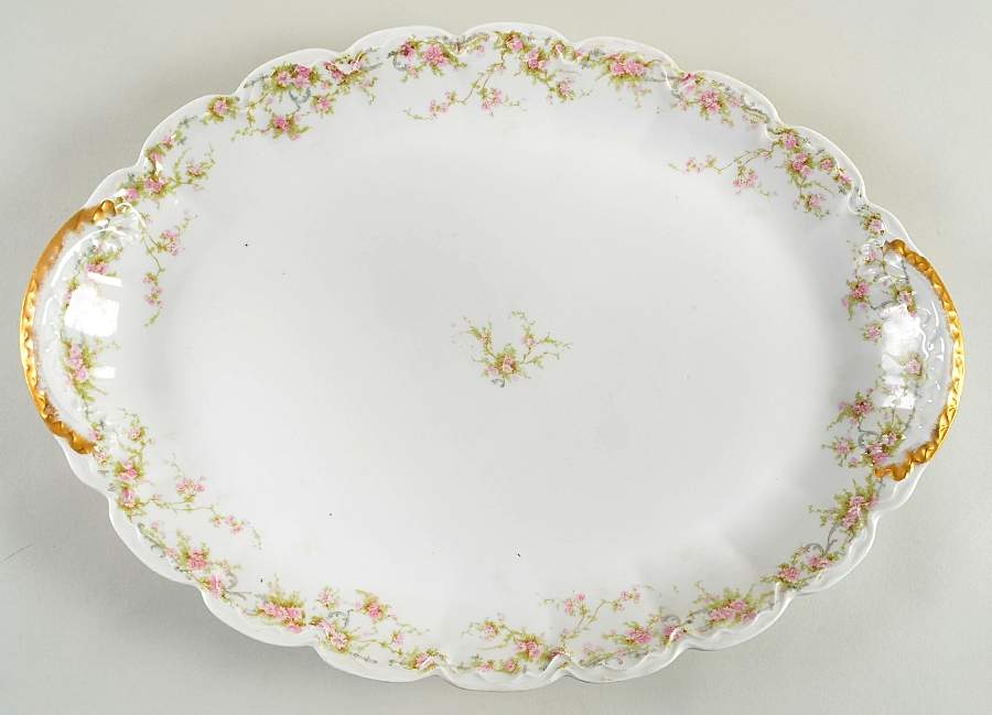 Schleiger 142 18" Oval Serving Platter by Haviland-1