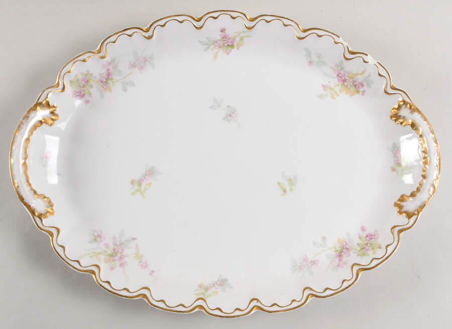 Schleiger 144 16" Oval Serving Platter by Haviland-1