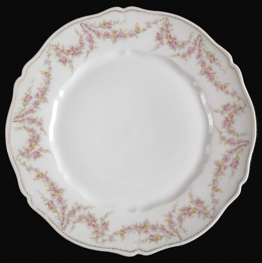 Schleiger 145G Dinner Plate by Haviland-1