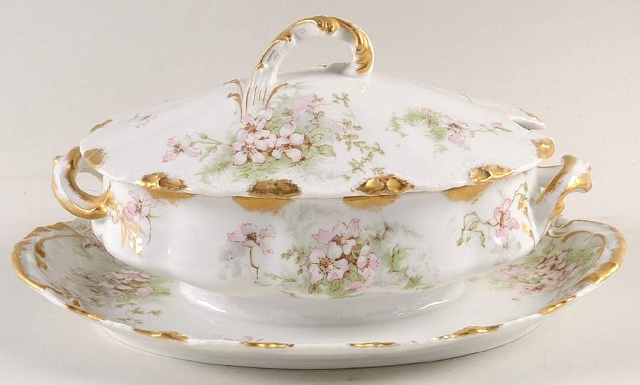 Schleiger 146 Gravy Boat w/Attached Underplate & Lid by Haviland-1