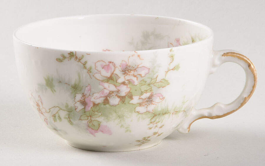 Schleiger 146A Flat Cup by Haviland-1