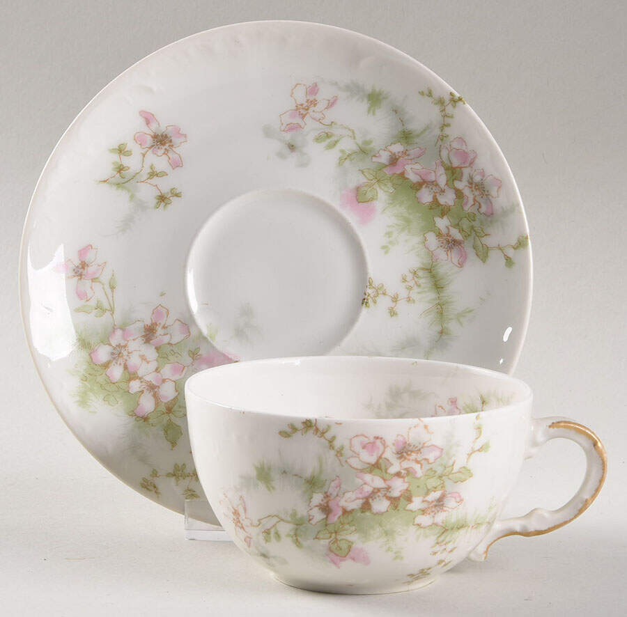Schleiger 146A Flat Cup & Saucer Set by Haviland-1