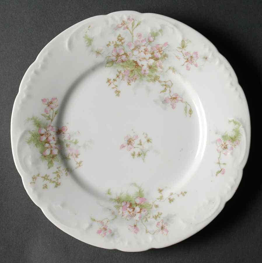 Schleiger 146A Salad Plate by Haviland-1