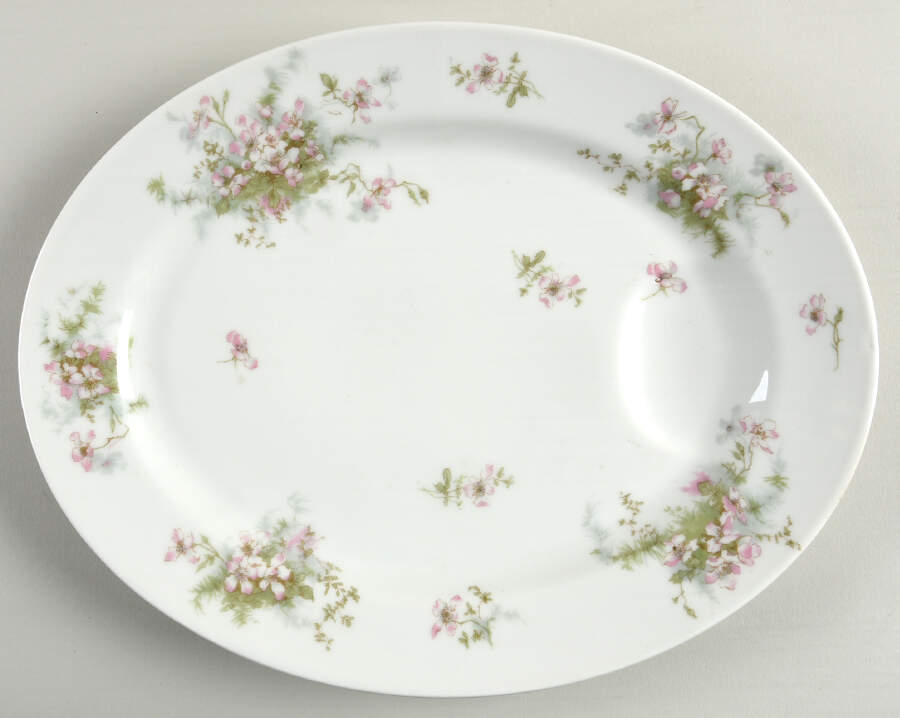 Schleiger 146D 13" Oval Serving Platter by Haviland-1