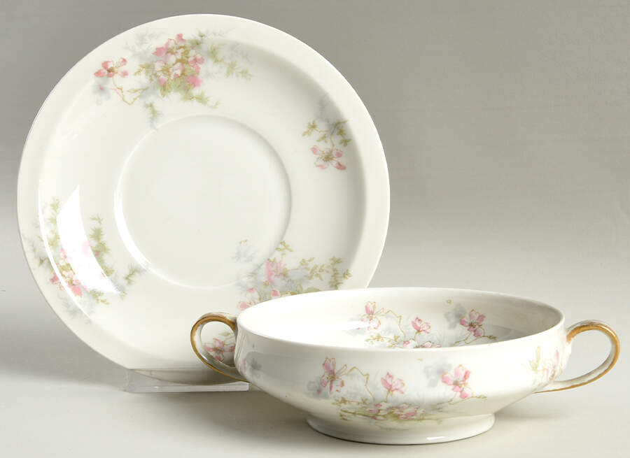 Schleiger 146D Footed Cream Soup Bowl & Saucer Set by Haviland-1