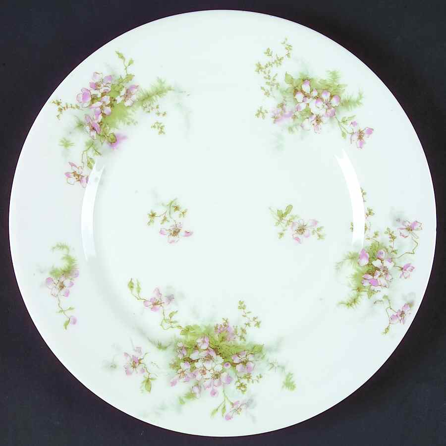 Schleiger 146D Dinner Plate by Haviland-1