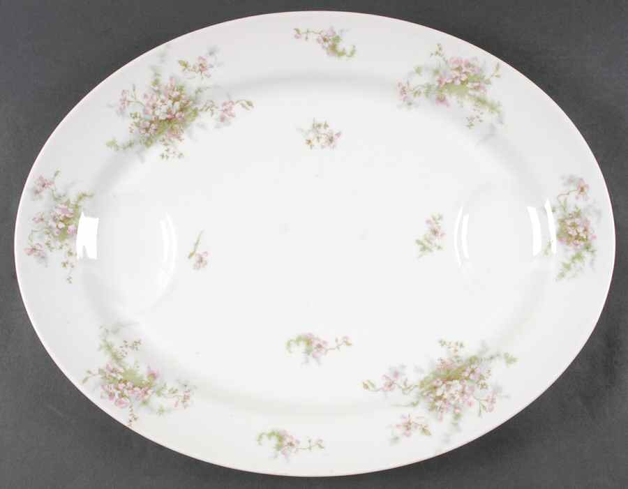 Schleiger 146D 17" Oval Serving Platter by Haviland-1