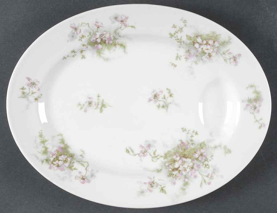 Schleiger 146D 11" Oval Serving Platter by Haviland-1
