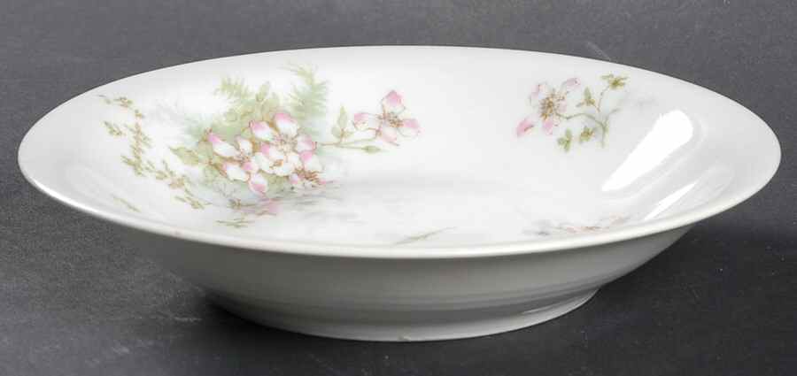 Schleiger 146D Coupe Cereal Bowl by Haviland-1