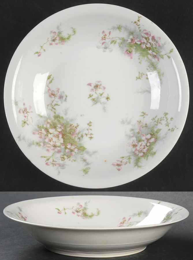 Schleiger 146D Rim Soup Bowl by Haviland-1