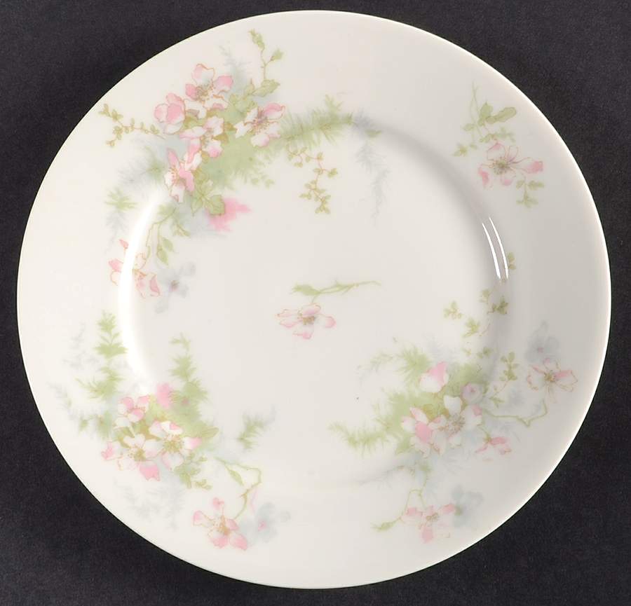 Schleiger 146D Bread & Butter Plate by Haviland-1