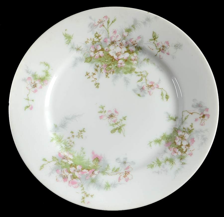 Schleiger 146D Salad Plate by Haviland-1