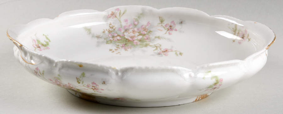 Schleiger 146E 10" Shallow Bowl by Haviland-1