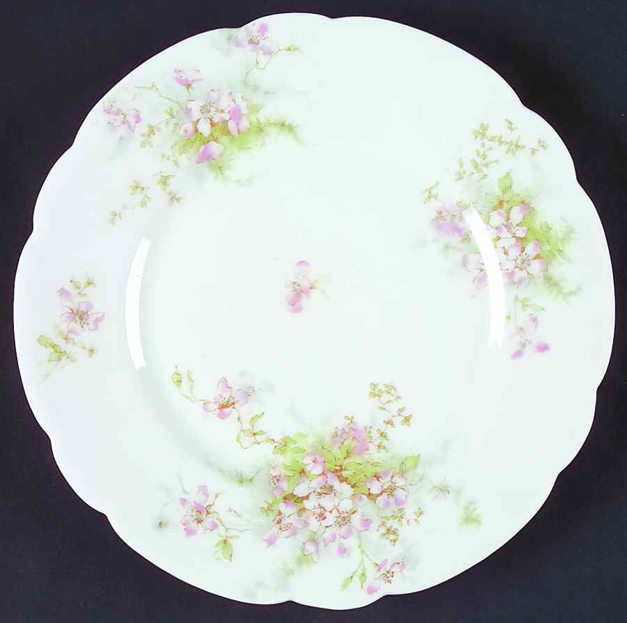 Schleiger 146i  Salad Plate by Haviland-1