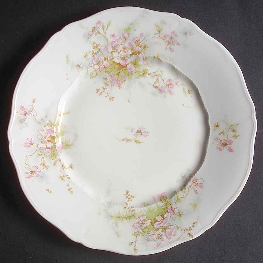 Schleiger 146k Salad Plate by Haviland-1