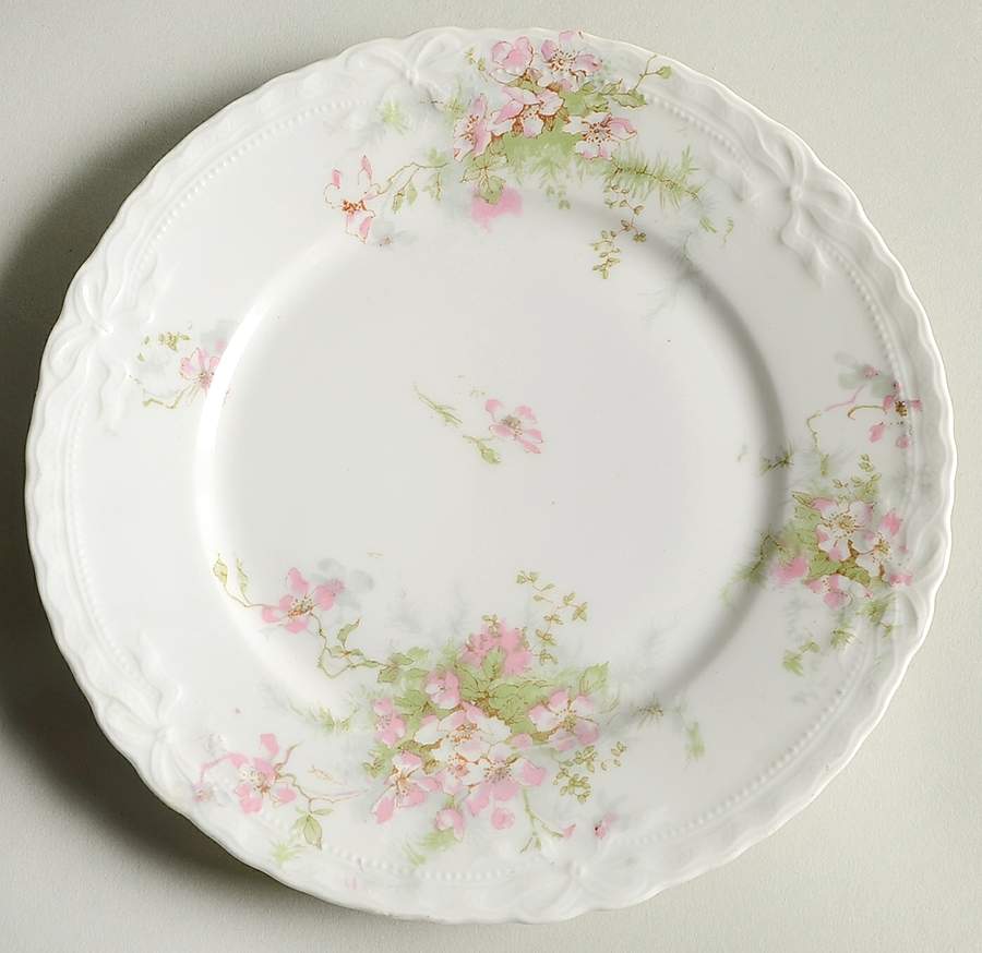 Schleiger 146l Dessert/Pie Plate by Haviland-1
