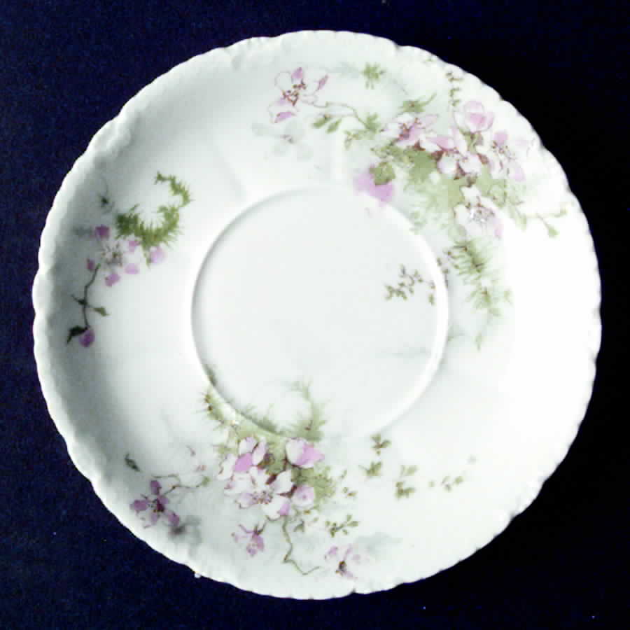 Schleiger 146M Saucer by Haviland-1