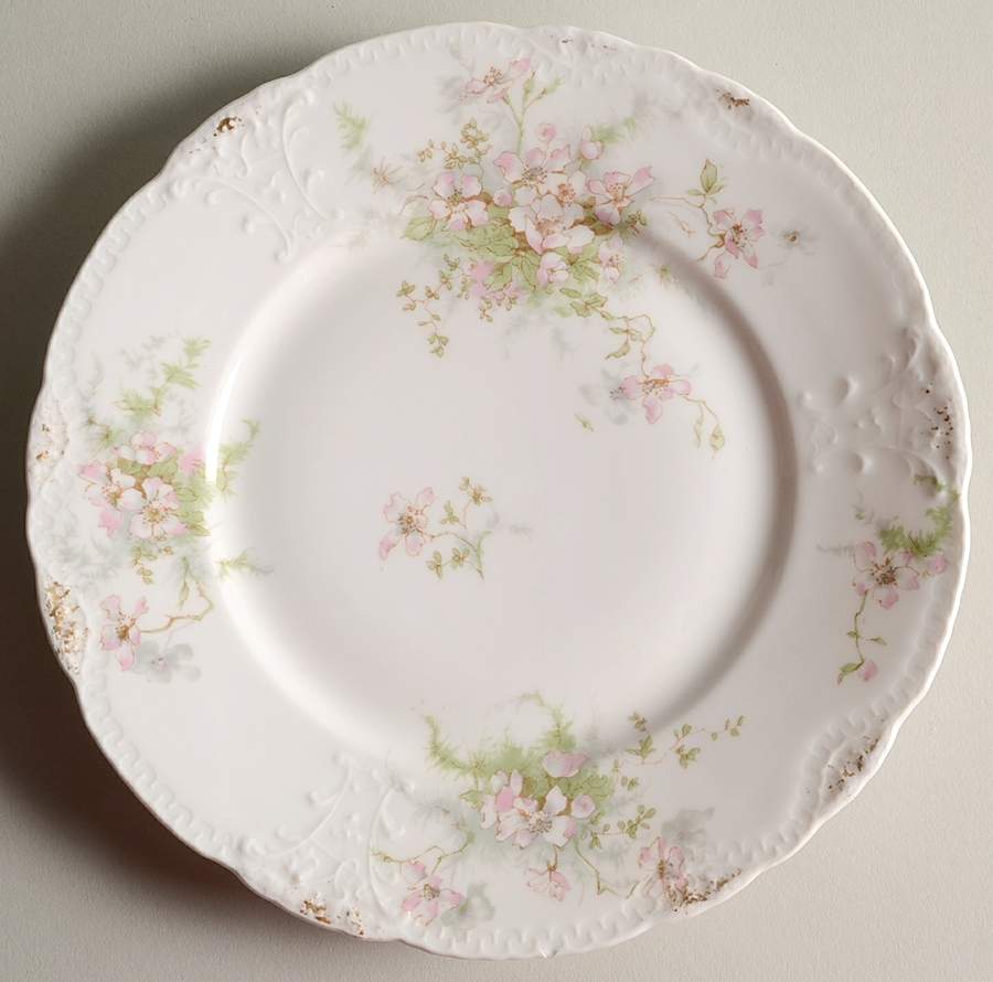 Schleiger 146O Salad Plate by Haviland-1