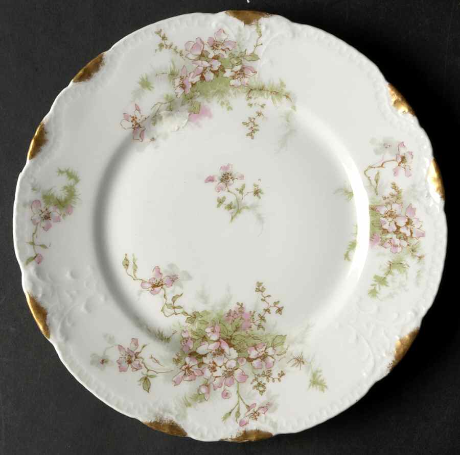 Schleiger 146O Salad Plate by Haviland-1
