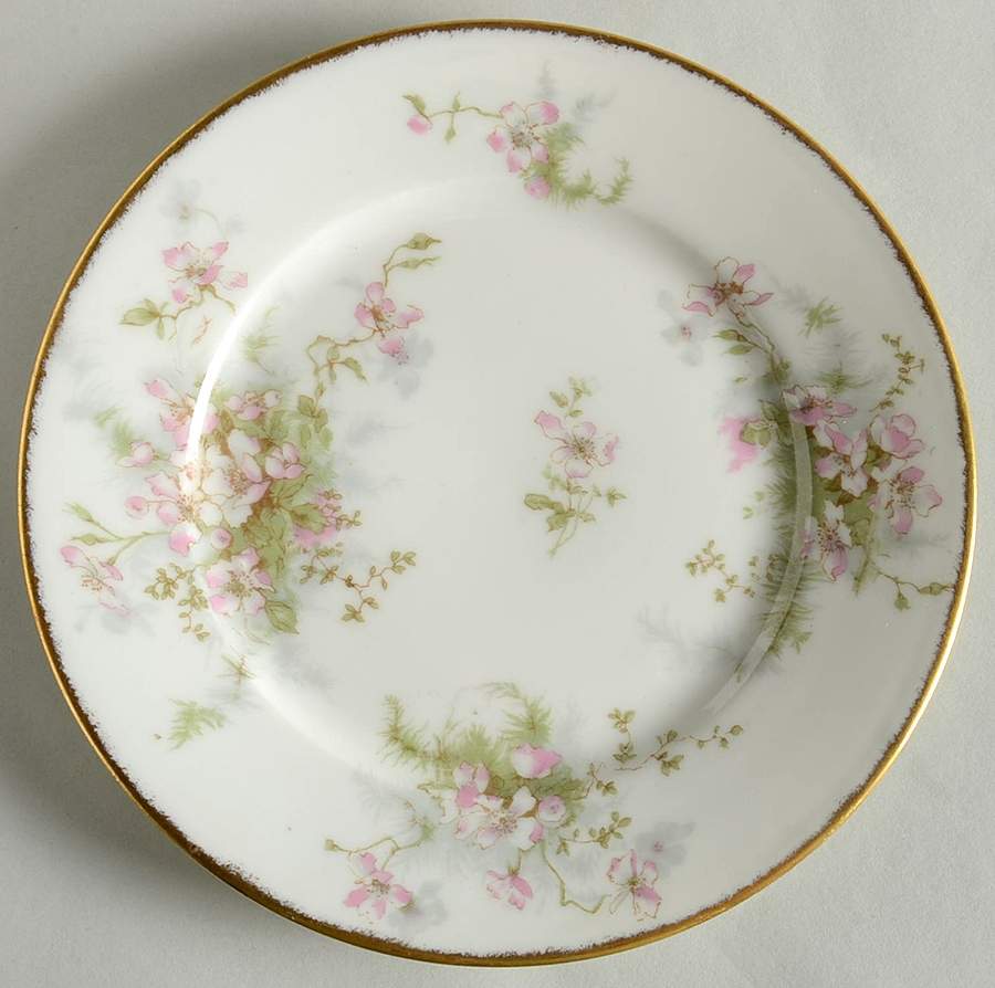 Schleiger 146r Salad Plate by Haviland-1