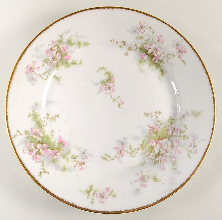 Schleiger 146r Luncheon Plate by Haviland-1
