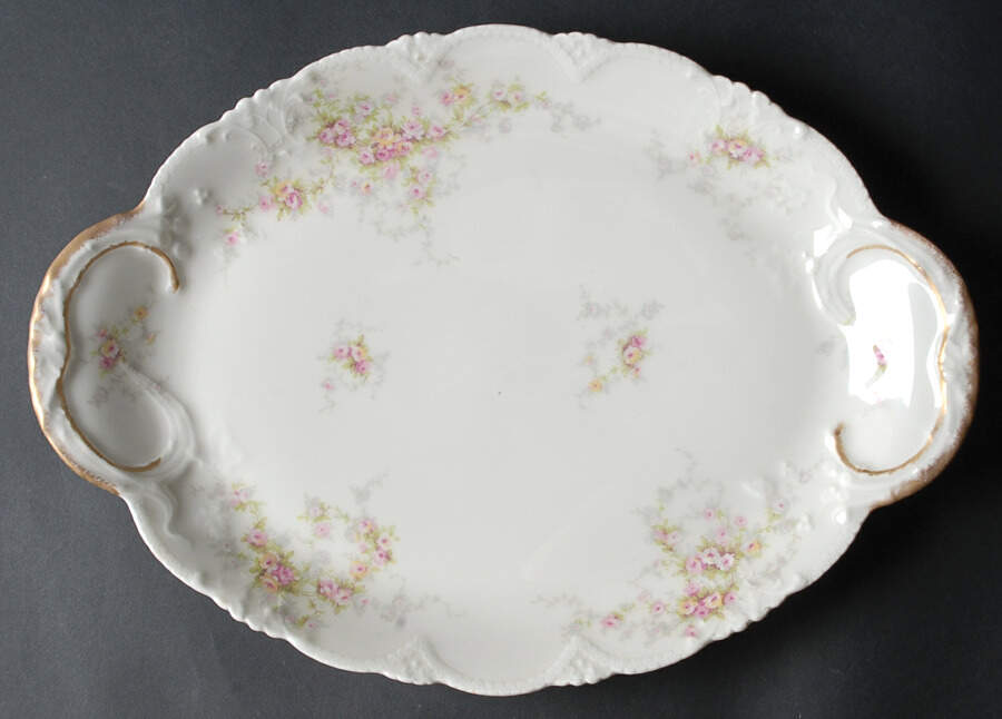 Schleiger 149 14" Oval Serving Platter by Haviland-1