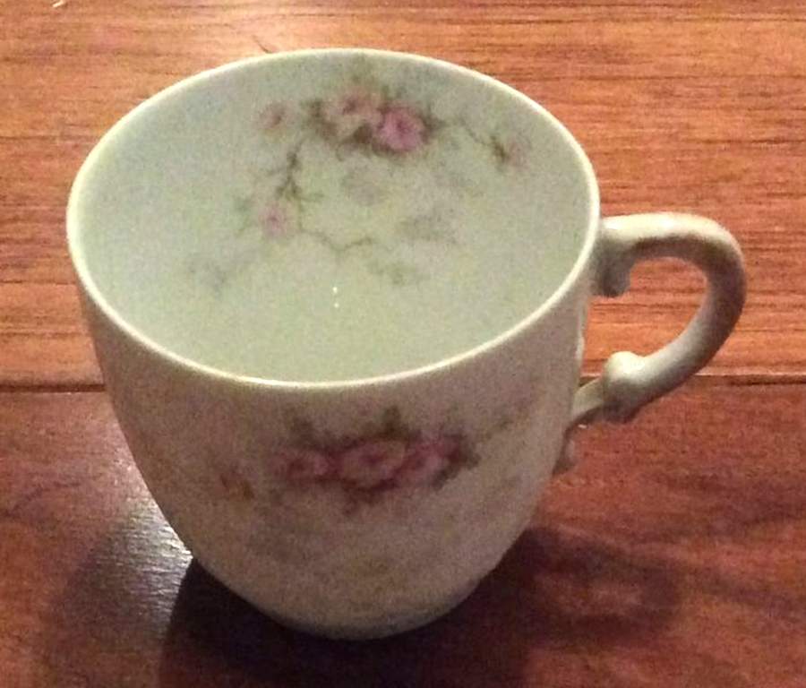 Schleiger 149B Flat Demitasse Cup by Haviland-1