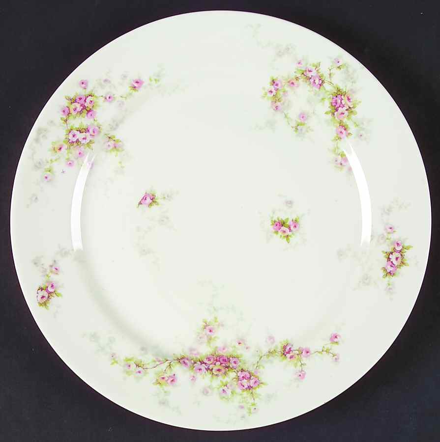 Schleiger 149c Dinner Plate by Haviland-1