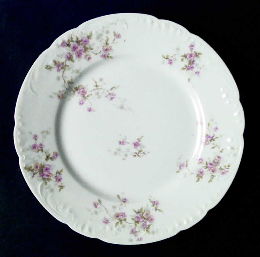 Schleiger 150 Dinner Plate by Haviland-1