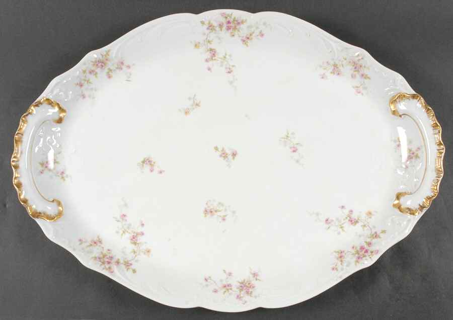 Schleiger 150 20" Oval Serving Platter by Haviland-1